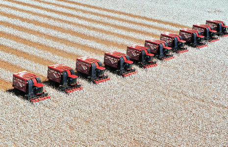 Ele substituiu Júlio Cézar Busato, que  passou a ocupar o cargo de presidente da Associação Brasileira dos Produtores de Algodão (Abrapa)