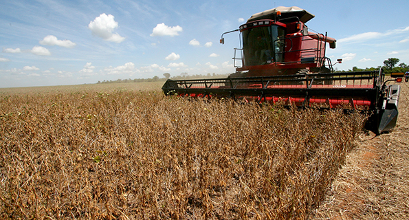 Imagem de Promessa de Valter Dias de cumprir acordo pode ser passo final para a pacificação do Oeste