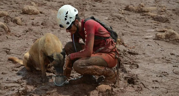 Lama invadiu Brumadinho após rompimento de barragem da Vale Lama invadiu Brumadinho após rompimento de barragem da Vale