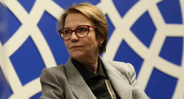 A ministra da Agricultura, Tereza Cristina