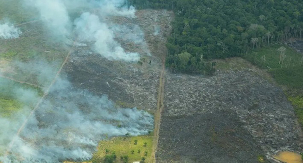 Imagem de Bolsonaro dá ao Ministério da Agricultura poder de conceder florestas públicas