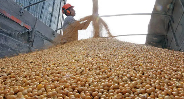 Soja, carne e açúcar brasileiros se beneficiaram de restrições americanas ao país