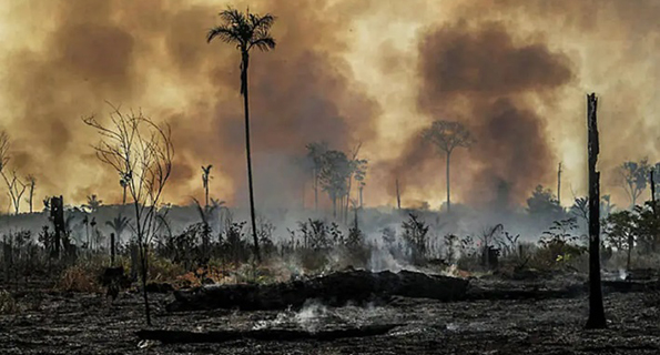 O Ministério Público Federal do Pará afirmou que, até o momento, não há provas que apontem ligação dos membros da ONG aos incêndios ocorridos em setembro 
