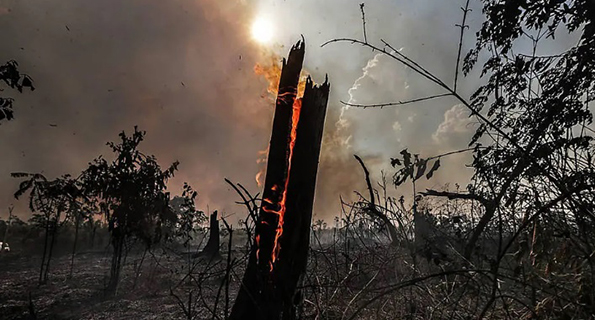 Queimada na Floresta Amazônica